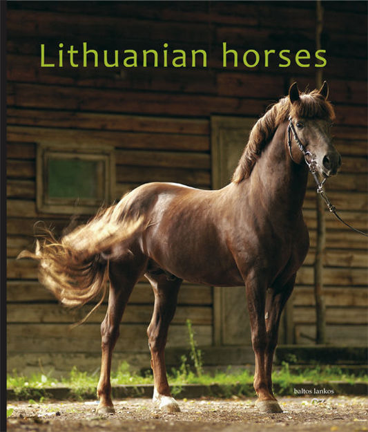 Lithuanian horses paveikslėlis