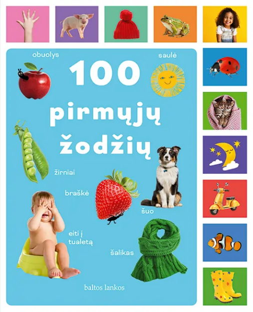 100 pirmųjų žodžių paveikslėlis