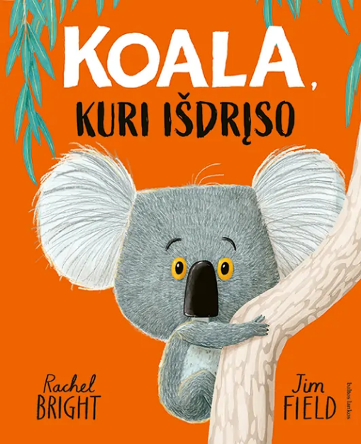 Koala, kuri išdrįso paveikslėlis